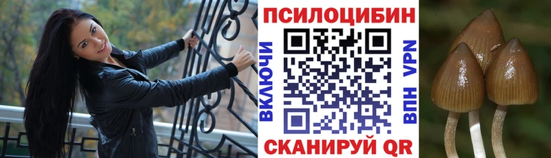 mega зеркало  Заполярный  Галлюциногенные грибы Cubensis 