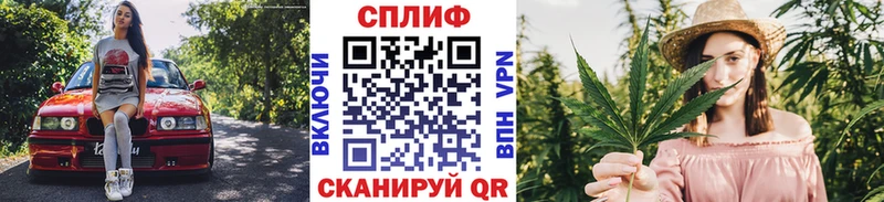 нарко площадка состав  Заполярный  Конопля план 